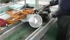 辰力手拉葫蘆車間，手拉葫蘆流水作業(yè)中